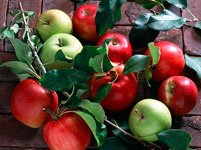 заготовки из огурцов с яблоками