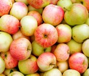 Огурцы сосновые в яблочном соке